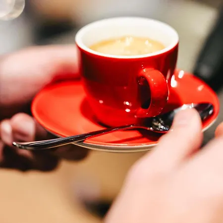 Ibis Centre Rive Droite Pasteur