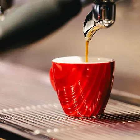 Ibis Centre Rive Droite Pasteur 3*