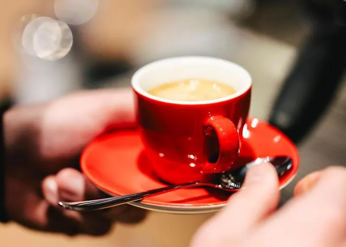 Ibis Centre Rive Droite Pasteur 3*