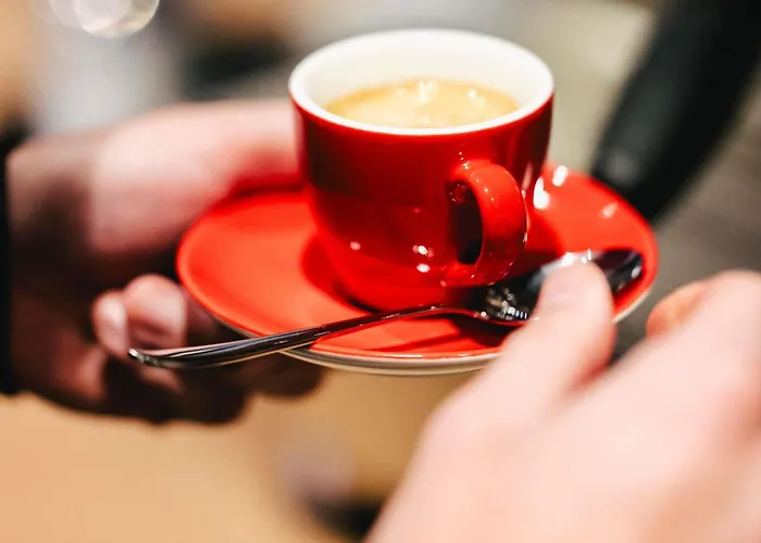 Ibis Centre Rive Droite Pasteur