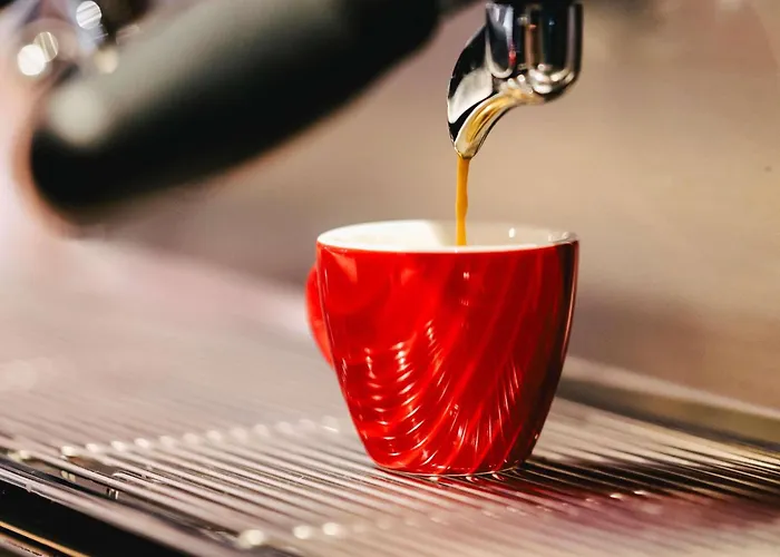 Ibis Centre Rive Droite Pasteur 3*